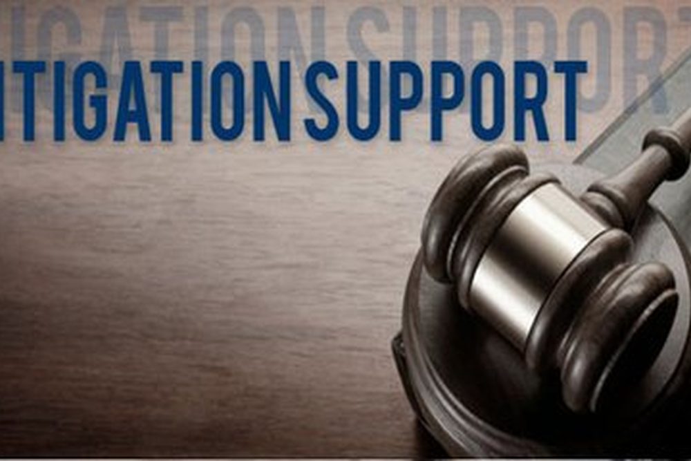 Litigation Services